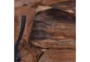 CREEDWOOD Wandgarderobe Mina 7 Haken Treibholz Bild 4