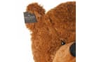 Feluna XXL Kuschelbär 120 cm Weicher Plüsch Bär Braun Bild 5