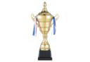 Goods+Gadgets Goldene XXL-Trophäe 36 cm Dekopokal mit Gravur Bild 2