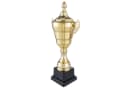Goods+Gadgets Goldene XXL-Trophäe 36 cm Dekopokal mit Gravur Bild 3