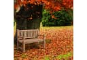 CLP Gartenbank Teakbank Jackson V2 wetterfest Teakholz Bild 5