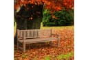 CLP Gartenbank Jackson V2 Teakholz mit Armlehnen Bild 5