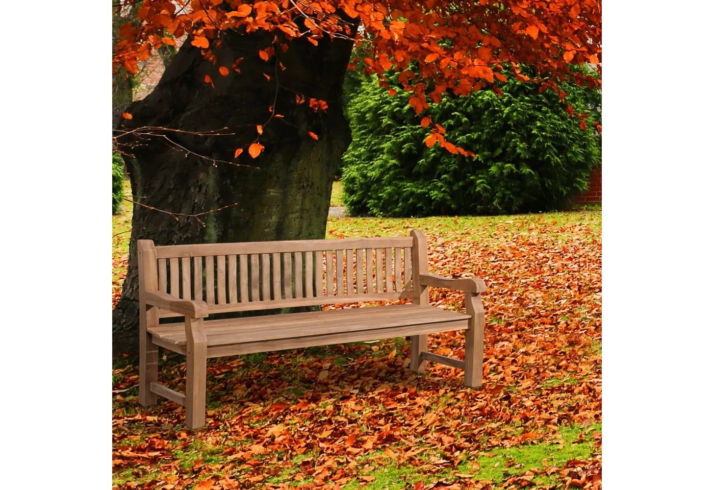 CLP Gartenbank Jackson V2 Teakholz mit Armlehnen - Bild 5