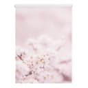 Seitenzugrollo LICHTBLICK Kirschblüten Klemmfix Rosa Weiß Bild 1