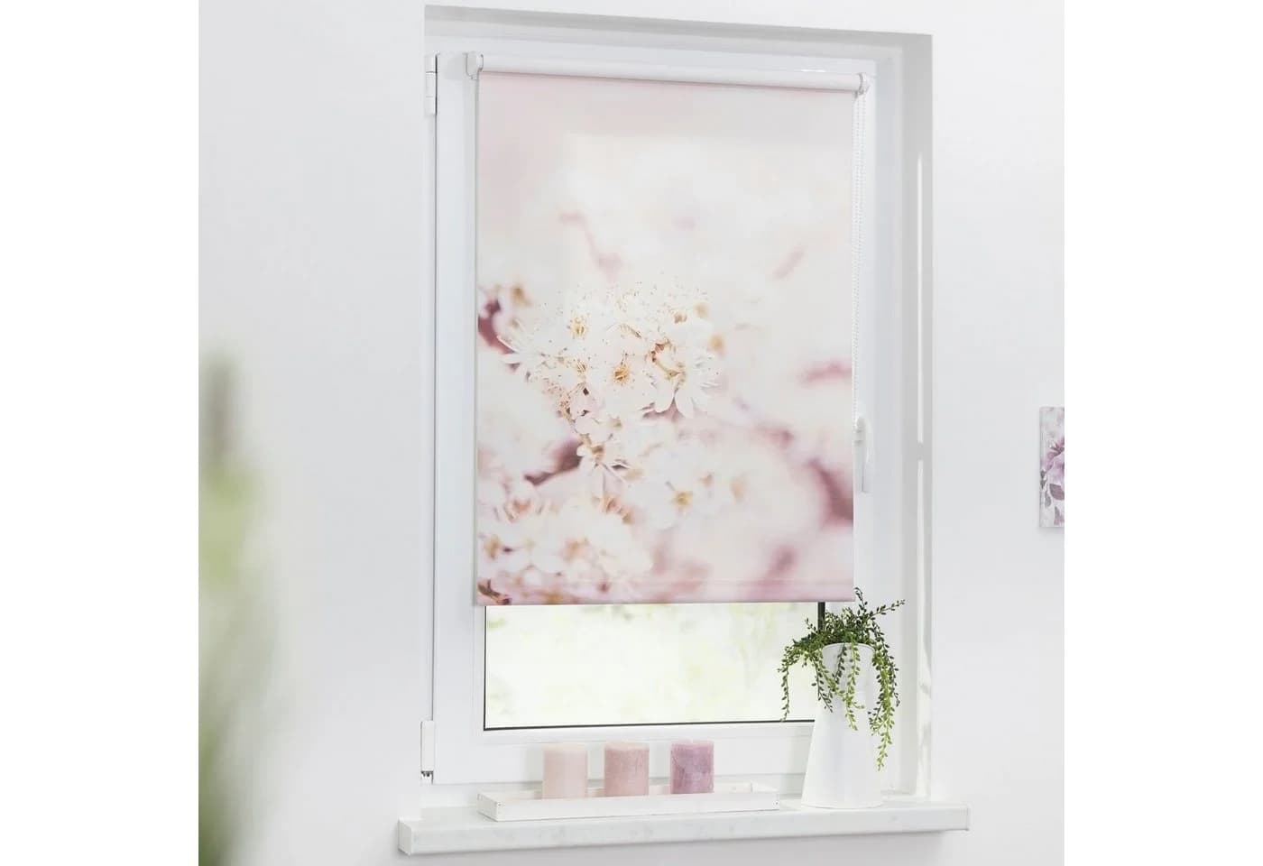 LICHTBLICK Seitenzugrollo Kirschblüten Rosa Weiß Klemmfix - Bild 2