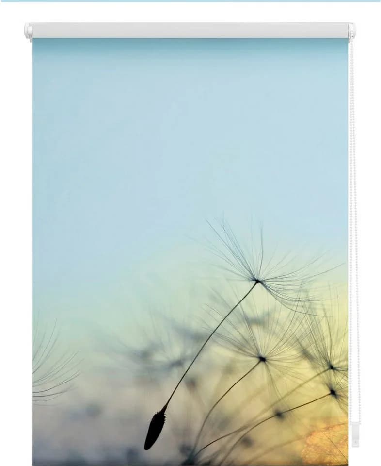 LICHTBLICK ORIGINAL Seitenzugrollo Klemmfix Pusteblume Blau/Weiß - Bild 3