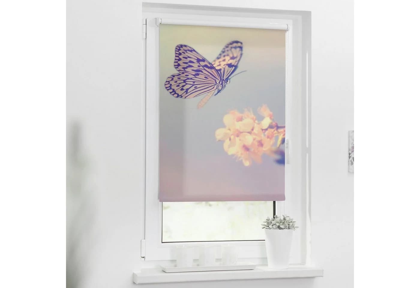 LICHTBLICK ORIGINAL Seitenzugrollo Klemmfix Motiv Schmetterling Rosa Weiß - Bild 2
