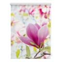 LICHTBLICK ORIGINAL Seitenzugrollo Klemmfix Motiv Magnolie Rosa Weiß Bild 1