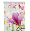 LICHTBLICK ORIGINAL Seitenzugrollo Klemmfix Motiv Magnolie Rosa Weiß Bild 3