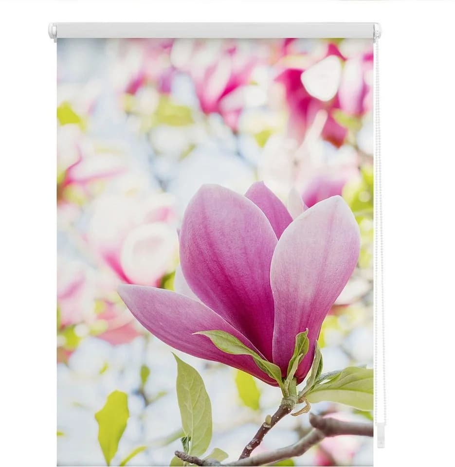 LICHTBLICK ORIGINAL Seitenzugrollo Klemmfix Motiv Magnolie Rosa Weiß - Bild 3