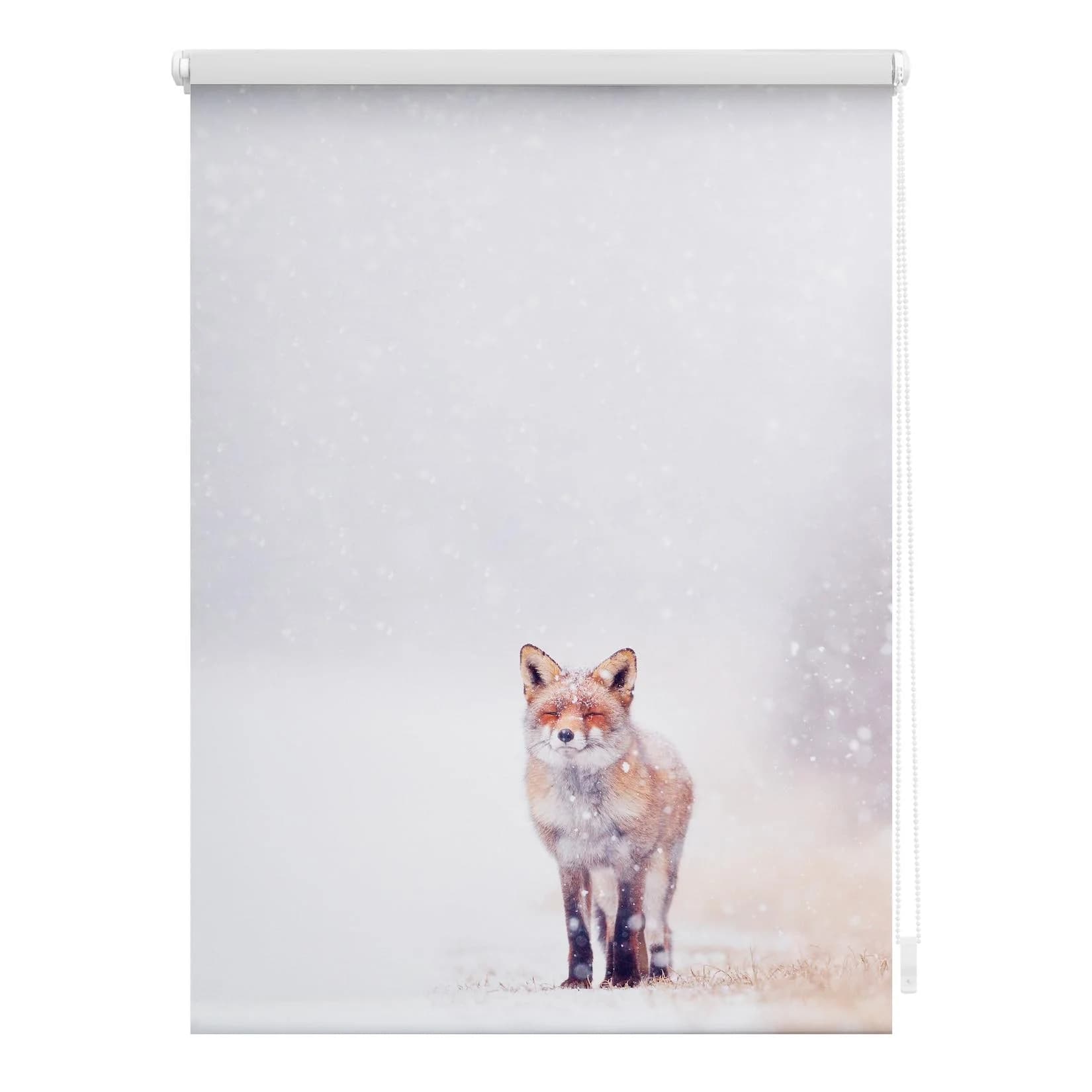 LICHTBLICK ORIGINAL Seitenzugrollo Klemmfix Fuchs im Schnee Rot/Weiß