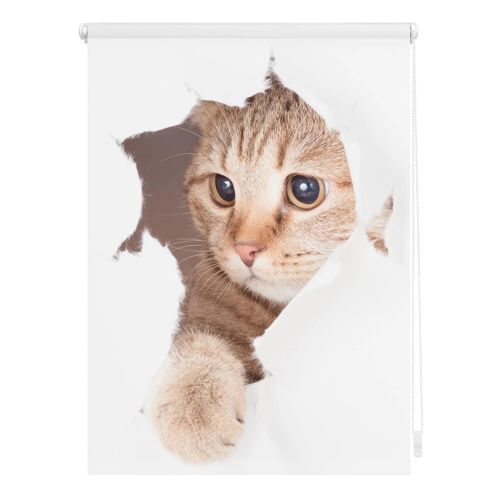 LICHTBLICK ORIGINAL Seitenzugrollo Klemmfix Digital Katze Braun Weiß Verdunkelnd