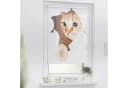 LICHTBLICK ORIGINAL Seitenzugrollo Klemmfix Digital Katze Braun Weiß Verdunkelnd Bild 2