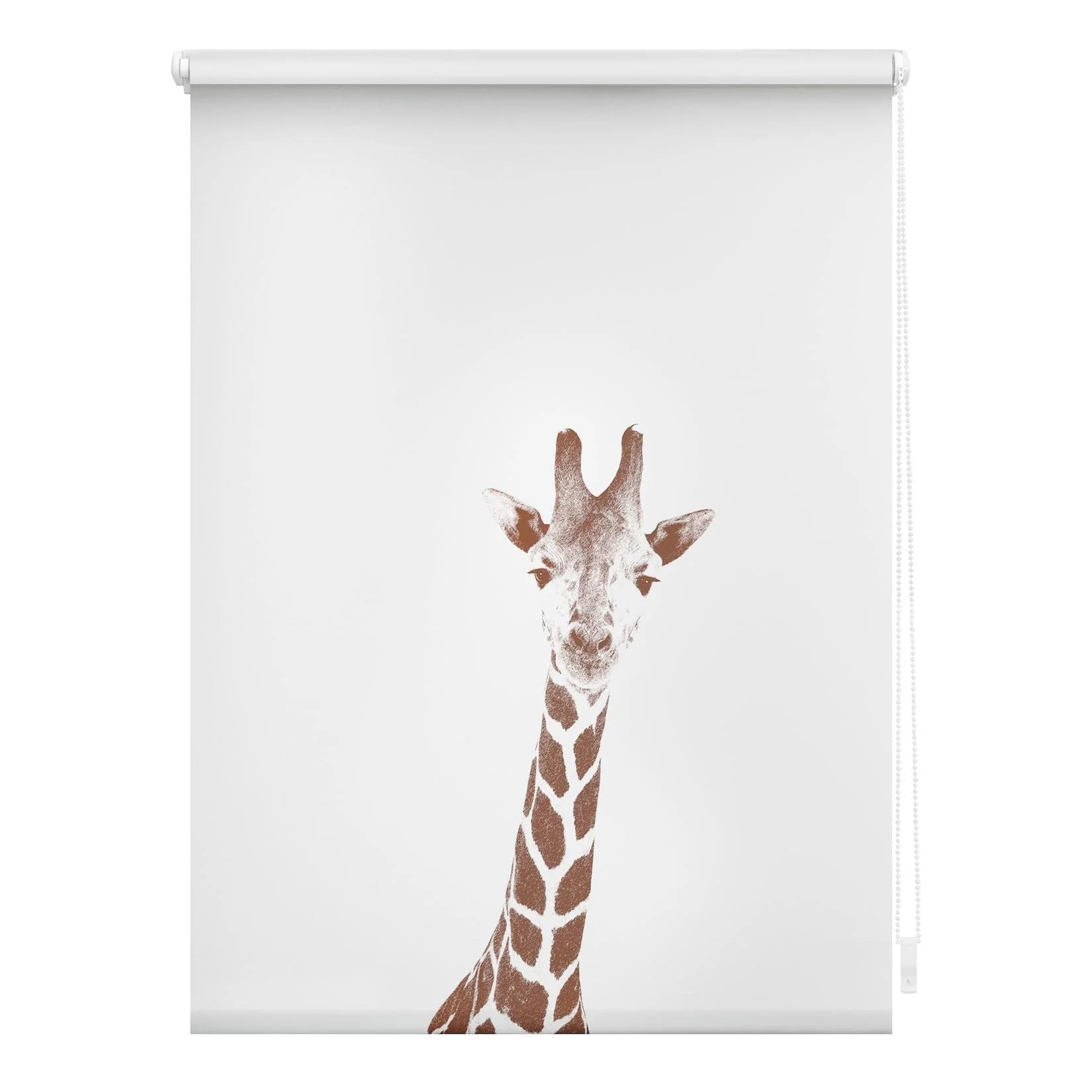 LICHTBLICK ORIGINAL Seitenzugrollo Klemmfix Giraffe Braun Weiß