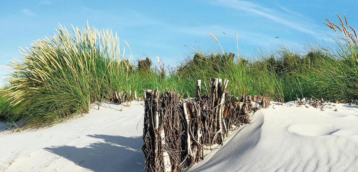 Küchenrückwand EXPRESS KÜCHEN Strand Bunt