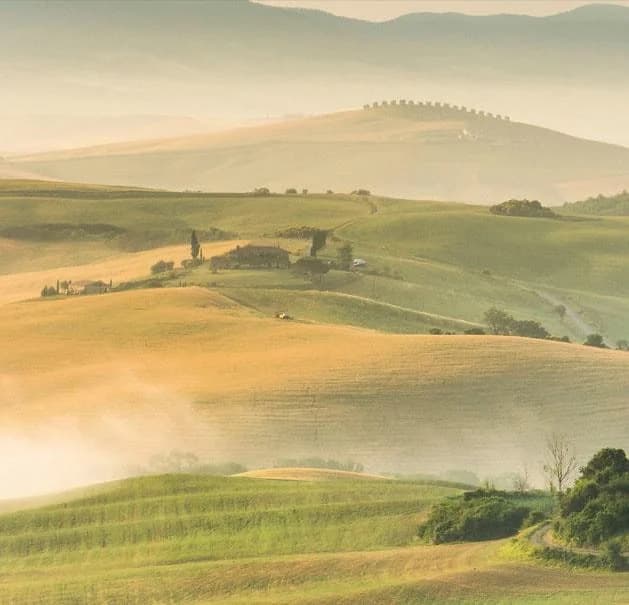 Küchenrückwand EXPRESS KÜCHEN Toscana Grün