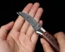 Wakoli Damast Schälmesser EDIB 6 cm Klinge Pakkaholzgriff Bild 5