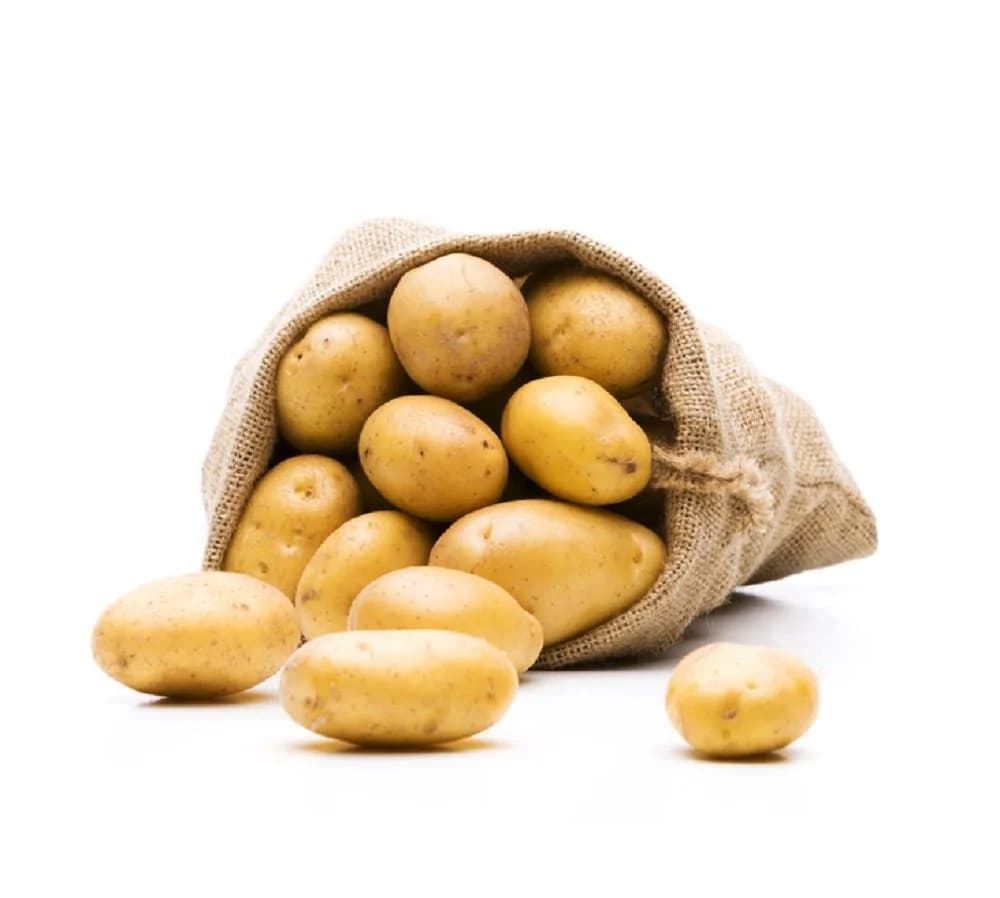 HaGa Gartensack Jutesack 60x110cm Kartoffelsack - Bild 5