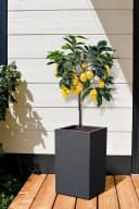 ONDIS24 Blumentopf Pflanzkübel Vulkan 36L Schieferoptik Bild 4