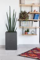 ONDIS24 Blumentopf Pflanzkübel Vulkan 36L Schieferoptik Bild 5