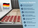 Betten-ABC Tellermodule 5er Set Rot Verstellbarer Härtegrad Bild 5
