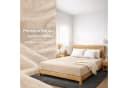 Buymax Spannbettlaken Premium Velours Baumwolle Velours Gummizug Bild 3