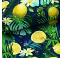 novely® OXFORD 210D Printstoff Lemon Night bunt wasserabweisend Bild 1