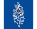 W. Reuter & Sohn - Plauener Spitze® Fensterbild "Moderne Blüte" farbig Bild 1