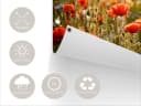 artissimo Poster XXL Blumenwiese Outdoor-Deko Wetterfest Bild 1