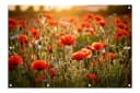 artissimo Poster XXL Blumenwiese Outdoor-Deko Wetterfest Bild 2