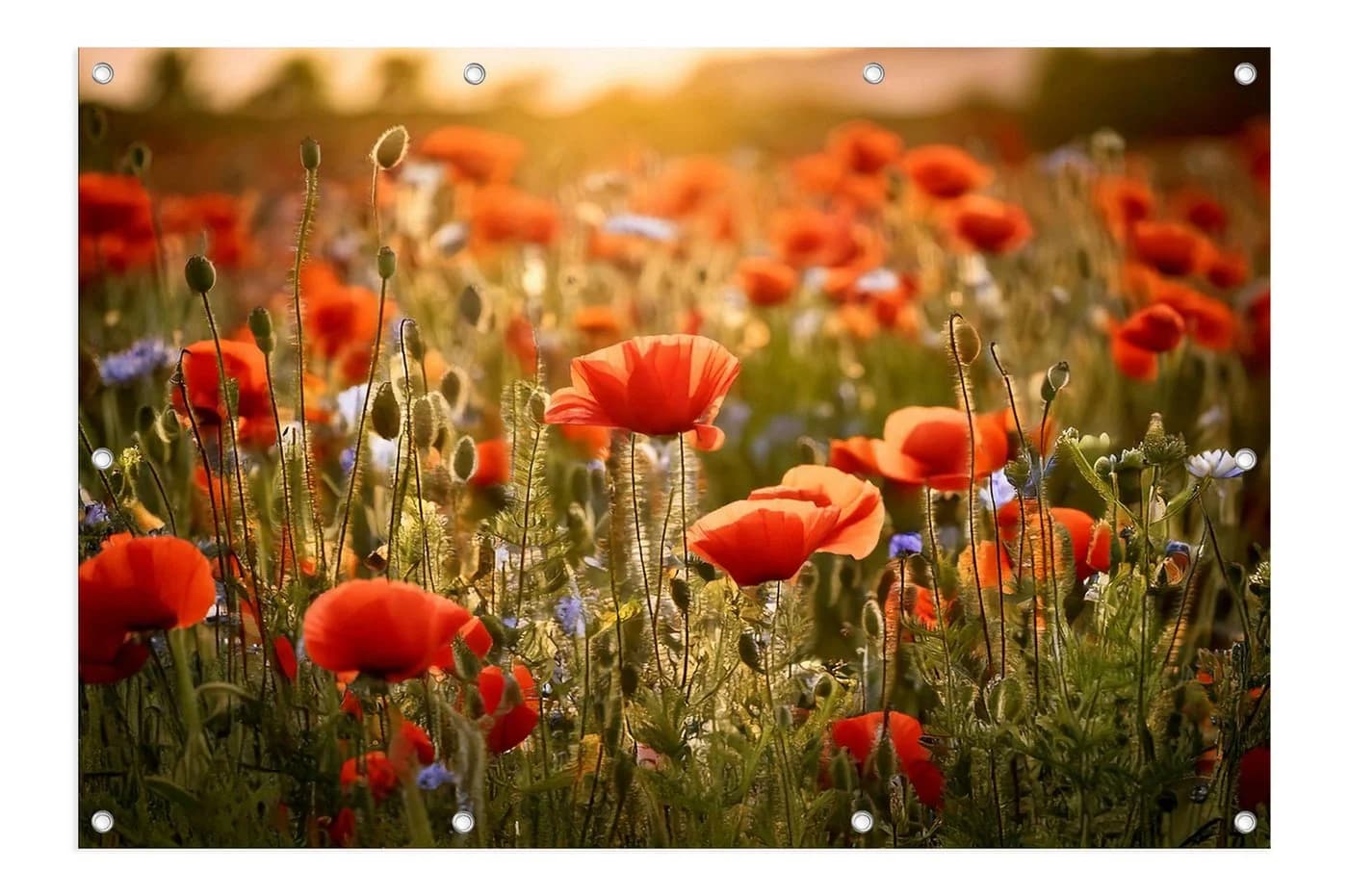 artissimo Poster XXL Blumenwiese Outdoor-Deko Wetterfest - Bild 2