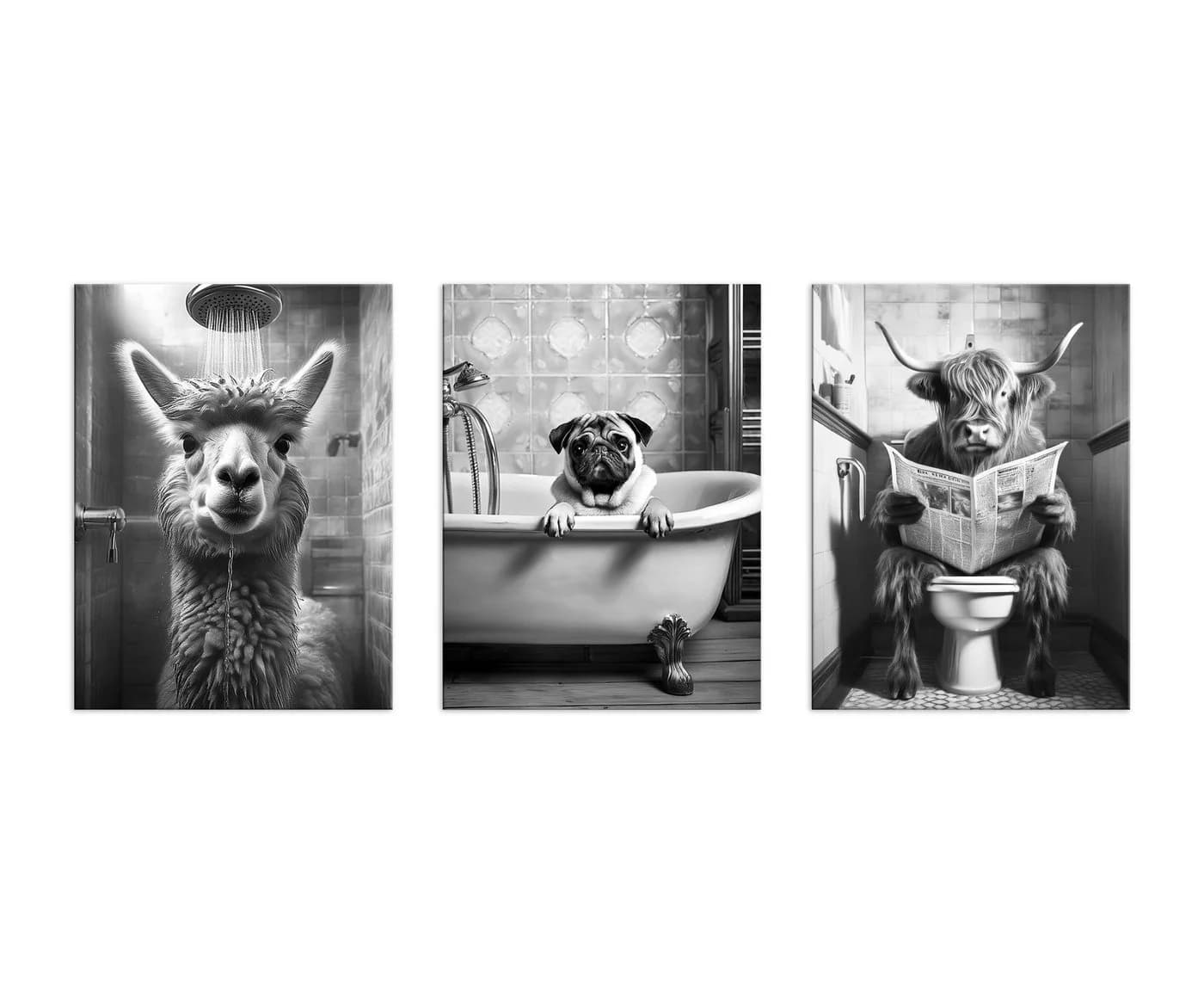 artissimo 3er-Bilderset Bad Deko schwarz-weiß lustige Tiermotive - Bild 5