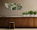 artissimo 3er-Bilderset Wandbilder grün Kräuter auf Löffeln Bild 3