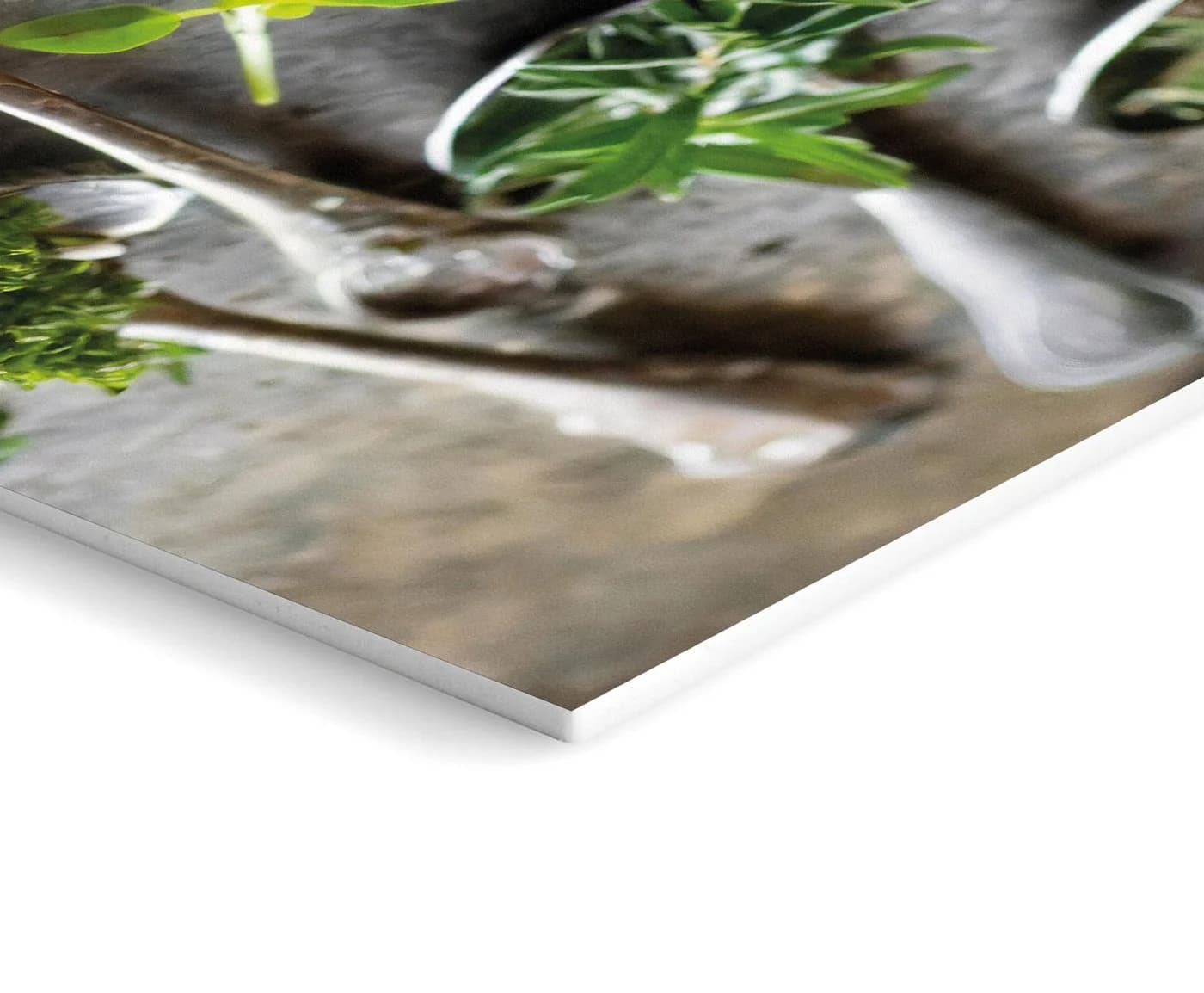 artissimo 3er-Bilderset Wandbilder grün Kräuter auf Löffeln - Bild 4