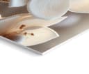 artissimo 3er-Bilderset Wandbilder Beige Weiß Zen Buddha Bild 3