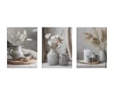 artissimo 3er-Bilderset Wandbilder Beige Weiß Moderne Natur Bild 5