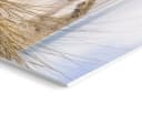artissimo 6er-Bilderset Maritime Wandbilder Strand Natur Bild 5