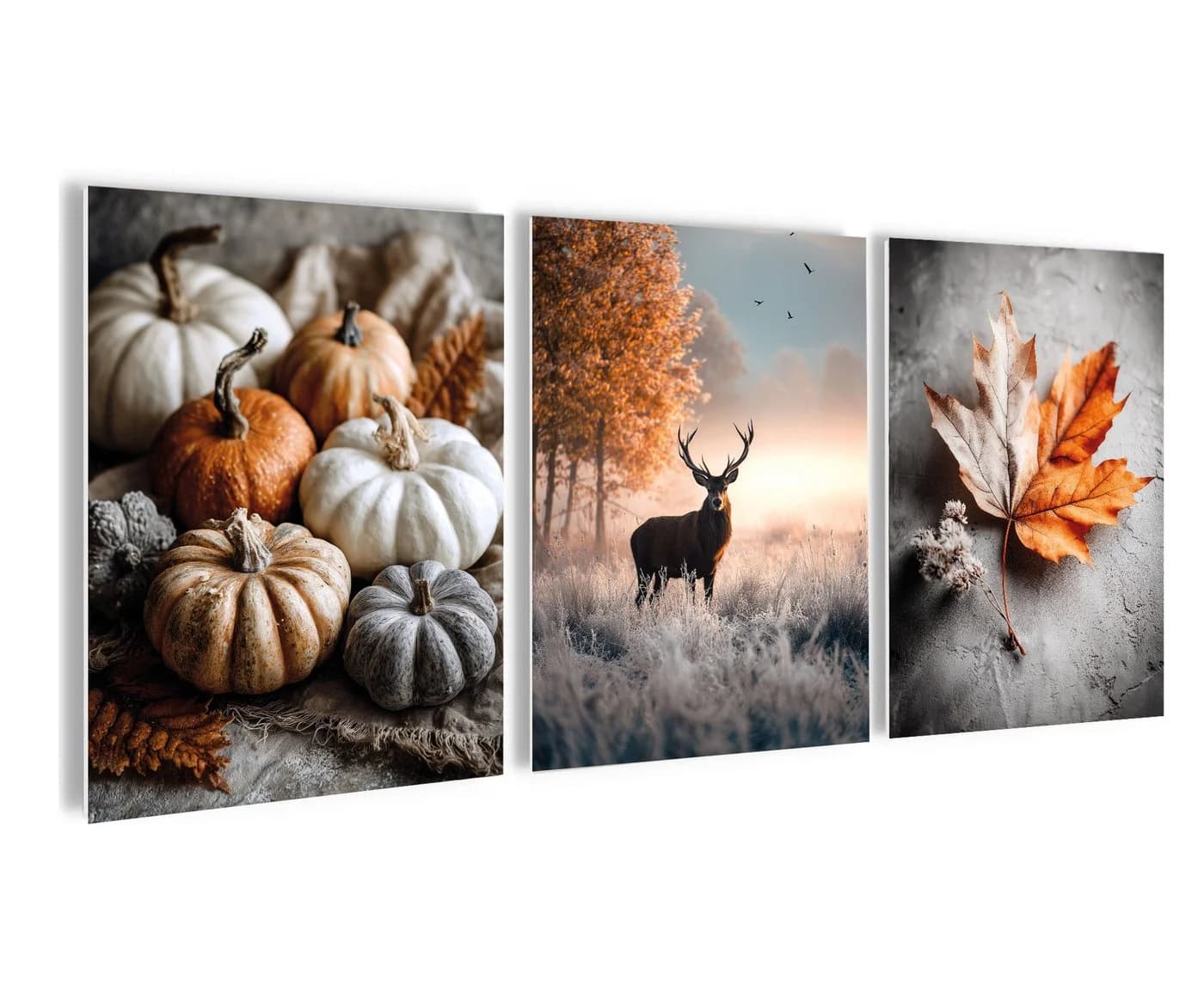 artissimo 3er-Set Wandbilder Herbst Kürbisse Hirsch Ahornblatt - Bild 2