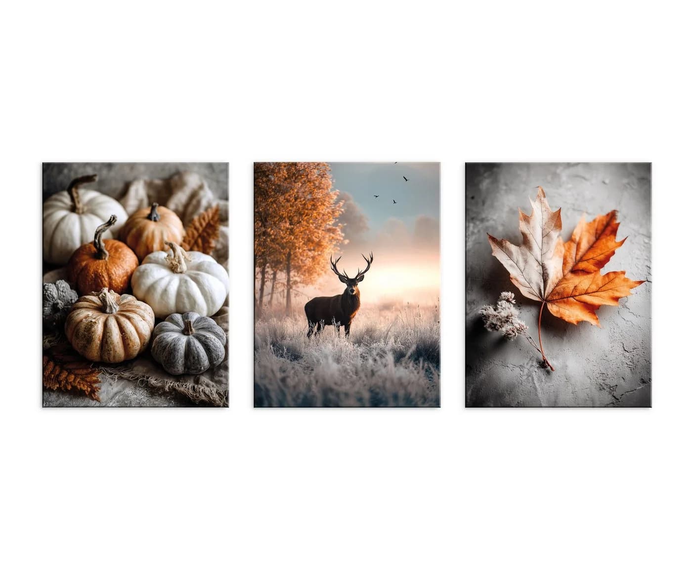 artissimo 3er-Set Wandbilder Herbst Kürbisse Hirsch Ahornblatt - Bild 5
