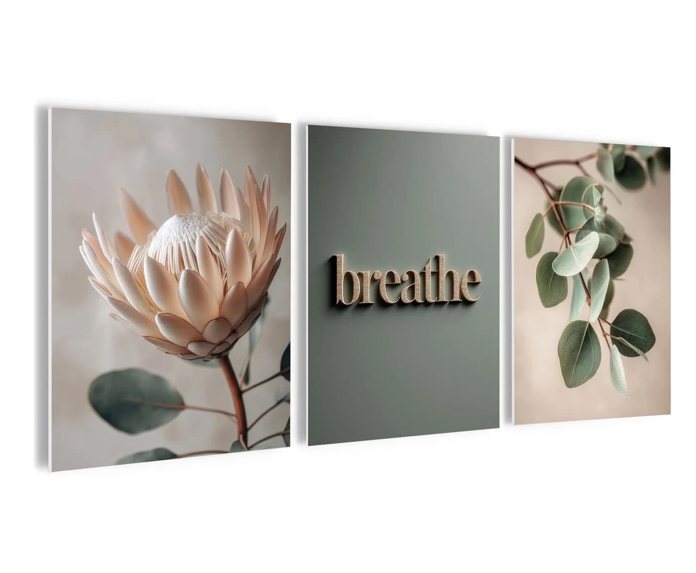 artissimo 3er-Bilder-Set Japandi Wanddeko Protea Eukalyptus Salbei-Grün Beige - Bild 2