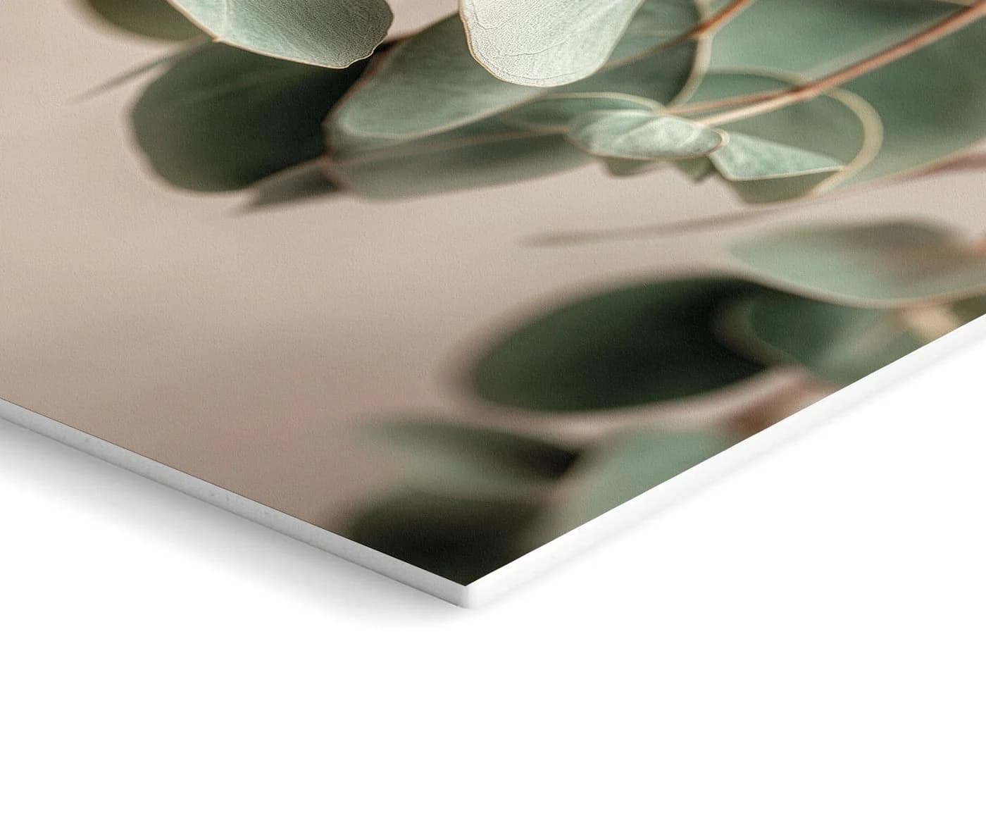 artissimo 3er-Bilder-Set Japandi Wanddeko Protea Eukalyptus Salbei-Grün Beige - Bild 4