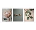 artissimo 3er-Bilder-Set Japandi Wanddeko Protea Eukalyptus Salbei-Grün Beige Bild 5