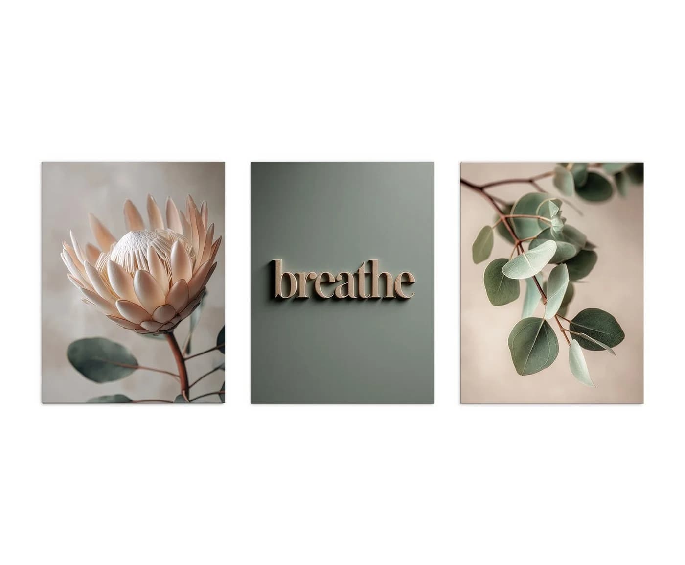 artissimo 3er-Bilder-Set Japandi Wanddeko Protea Eukalyptus Salbei-Grün Beige - Bild 5