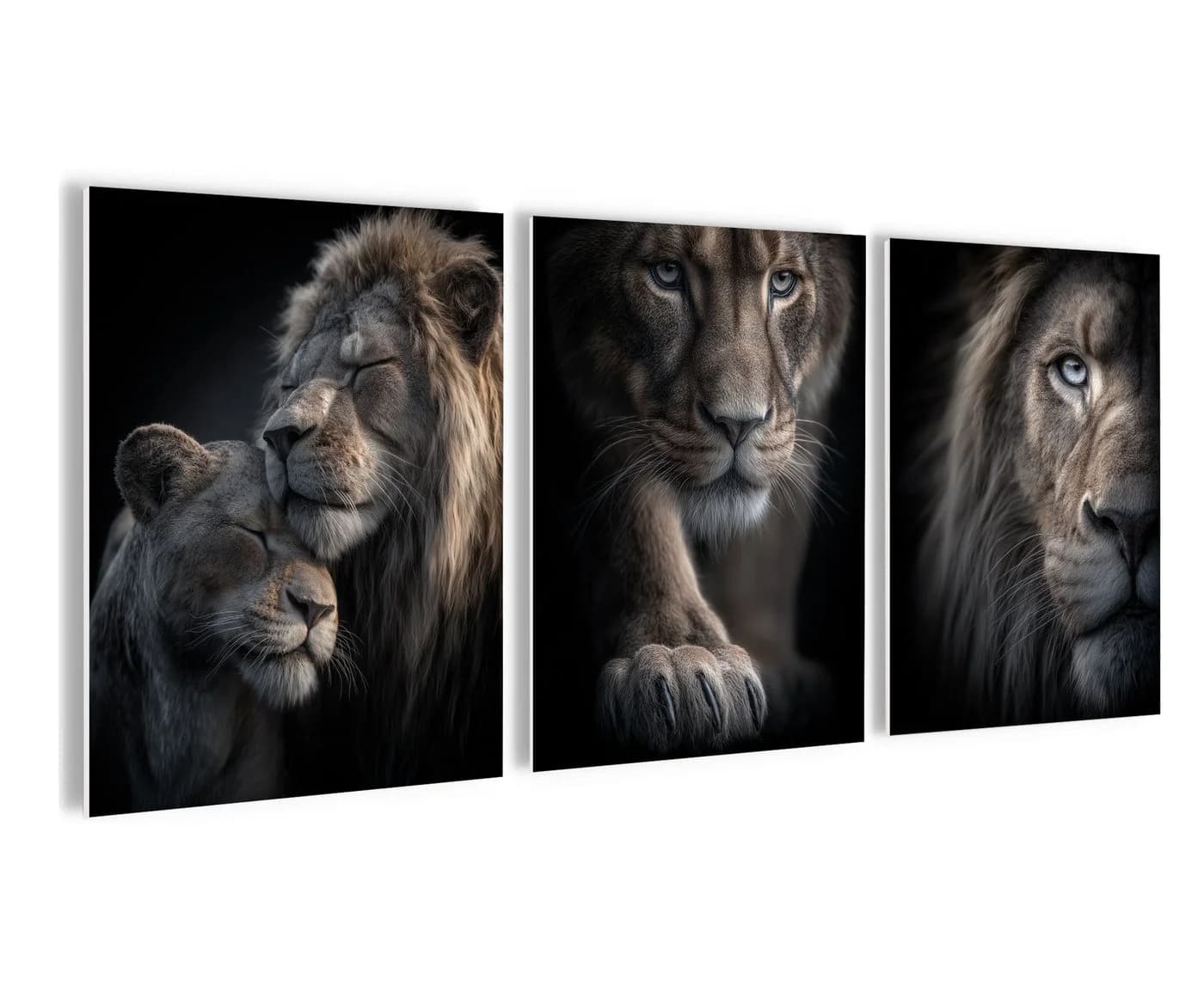 artissimo 3er-Bilderset Löwenportraits Schwarz Braun Grau Forex - Bild 2