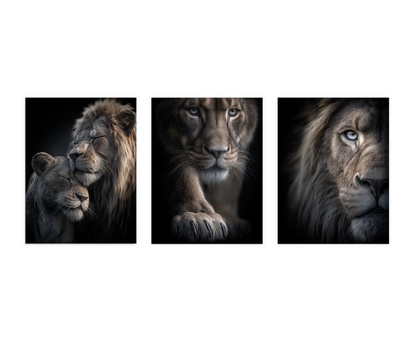 artissimo 3er-Bilderset Löwenportraits Schwarz Braun Grau Forex - Bild 5