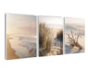 artissimo 3er-Bilderset Stranddeko Beige Maritime Wandbilder Bild 2