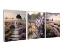 artissimo 3er-Bilderset Heidelandschaft Beige/Flieder Forex Bild 2