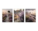 artissimo 3er-Bilderset Heidelandschaft Beige/Flieder Forex Bild 5
