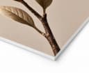 artissimo 3er-Bilderset Wanddeko Japandi Blumen Magnolie Beige Grün Bild 4
