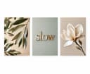 artissimo 3er-Bilderset Wanddeko Japandi Blumen Magnolie Beige Grün Bild 5